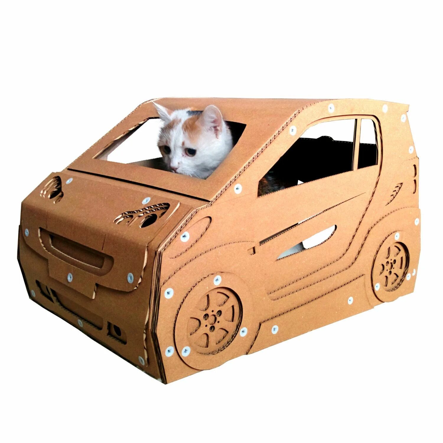 Кат сделай