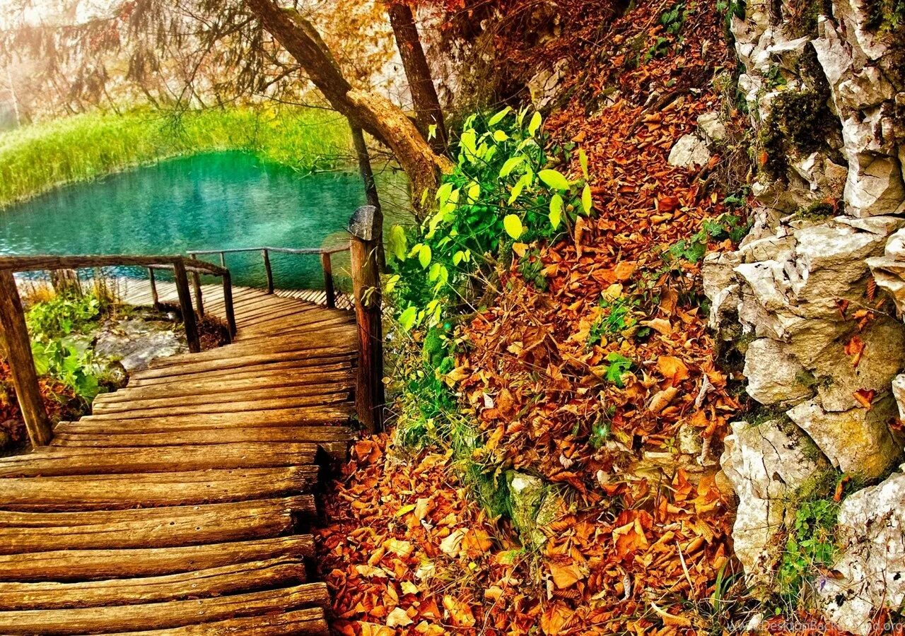 Сказочный домик. Волшебный пейзаж. Сказочное поле. Пейзаж. Фон зелень.