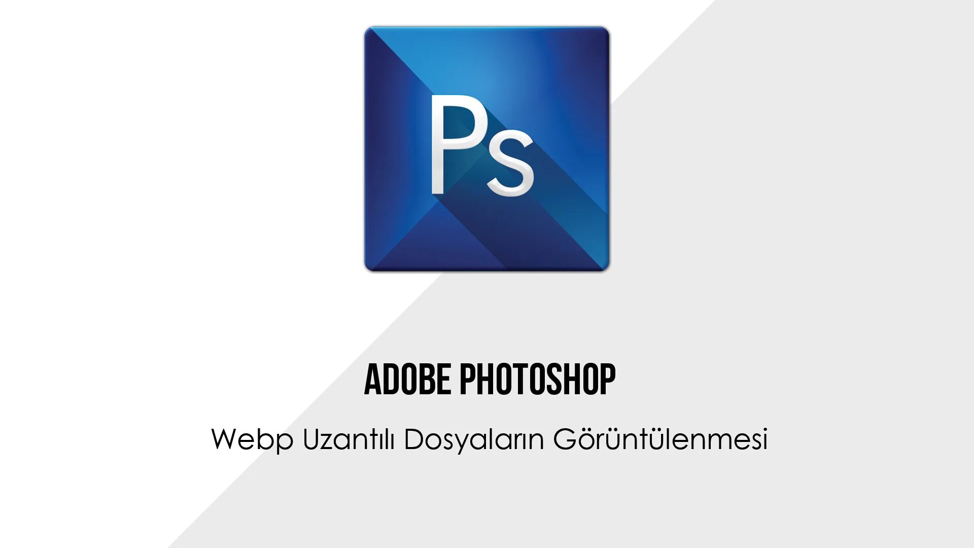 Webp file. Формат webp. webp изображения. картинки в формате webp. картинка с расширением webp.