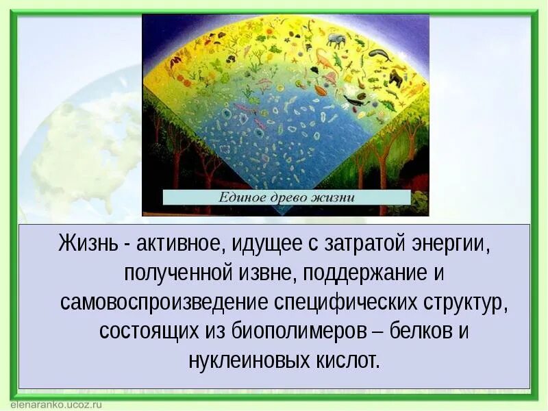 Тема биология как наука. Сущность жизни биология 10 класс. Сущность жизни. Сущность и свойства живого. Жизнь активная идущая.