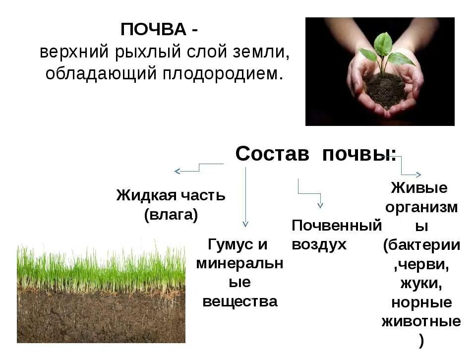 Образование и повышение плодородия