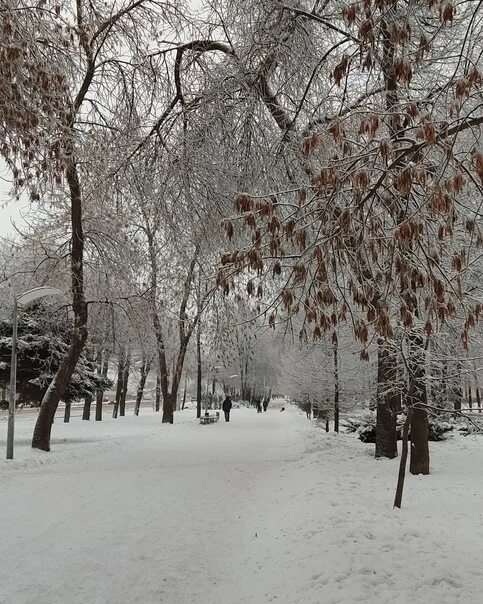 Липецк нижний парк зима. Ночной липецк зимой. Парки липецка зимой. Липецк зима. Быханов сад липецк 2022.