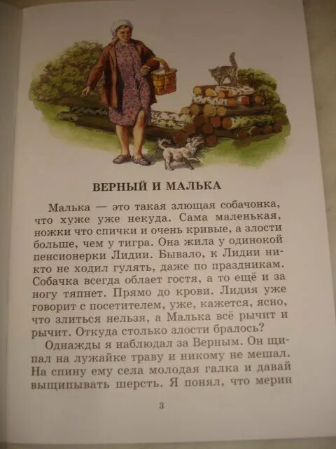 Книга белова о мальке какие еще рассказы. Рассказ про мальку. Про мальку книга. Малька чтение. Сказка малька.