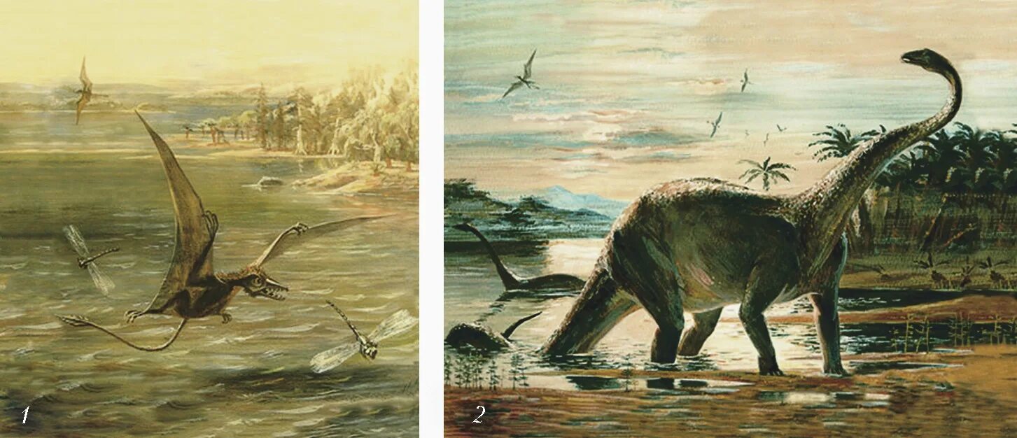 Сордес Птерозавр. Зденек Буриан Ихтиозавр. Птерозавры Триасового периода. Динозавры ихтиозавры и птерозавры.