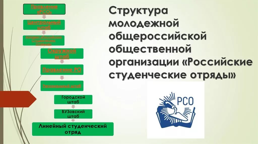 Общественные организации екатеринбург. Структура молодежной организации. Структура студенческих отрядов. Молодёжные организации в России структура. Структура РСО схема.