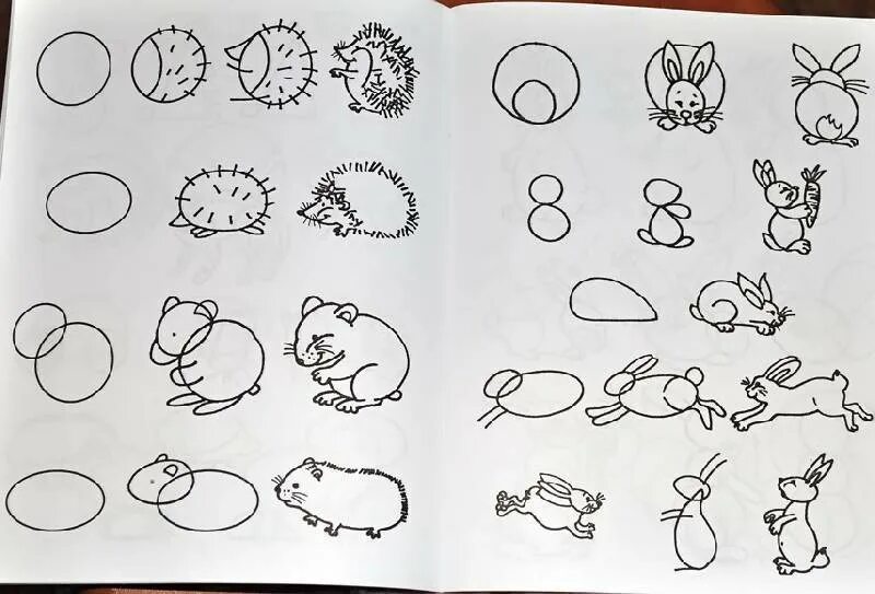 Рисование для дошкольников. Рисование животных для детей. Рисование для детей 5-6. Рисование для детей 6 лет.