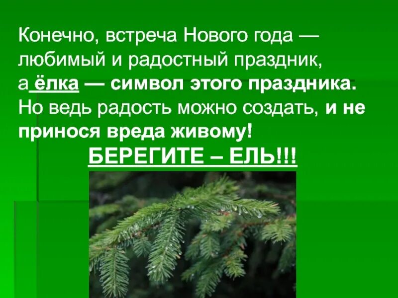 день вечнозеленых растений. открытка 19 декабря день вечнозеленой елки. день поиска вечнозеленой елки 19 декабря. картинки с днём вечнозелёных елок. день вечнозеленых растений 19 декабря.