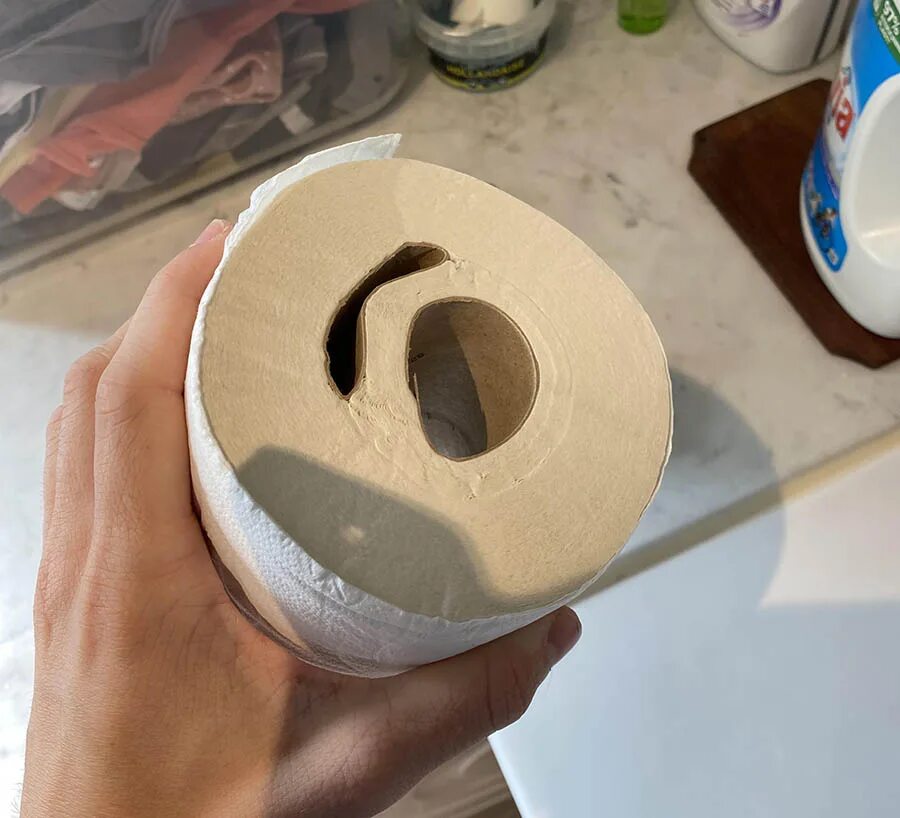 17 невероятных. Toilet Roll Test. Roll Test.