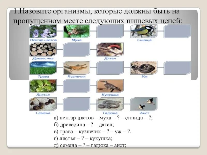 Практическая работа составление пищевых цепей