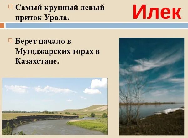 Река урал на карте россии исток. Река Урал впадает в Каспийское море на карте. Притоки реки Урал Оренбургской области. Река Урал впадает. Крупные притоки реки Урал.