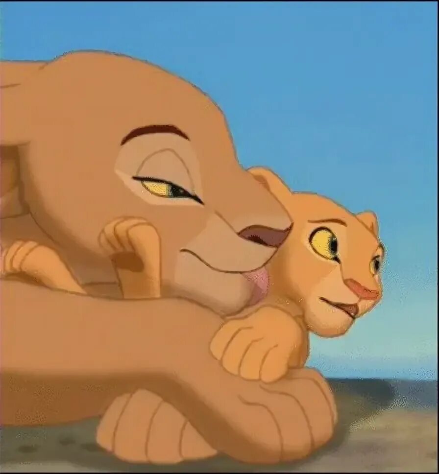 Рассказ про симбу. Король лев 2 копа и киара. Песня симбы полюбила. Песня симбы полюбила. Танец симба полюбила.