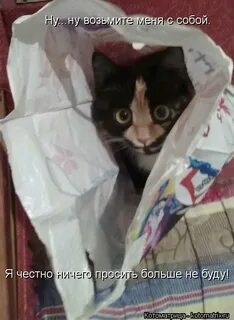 Больше ничего не попрошу