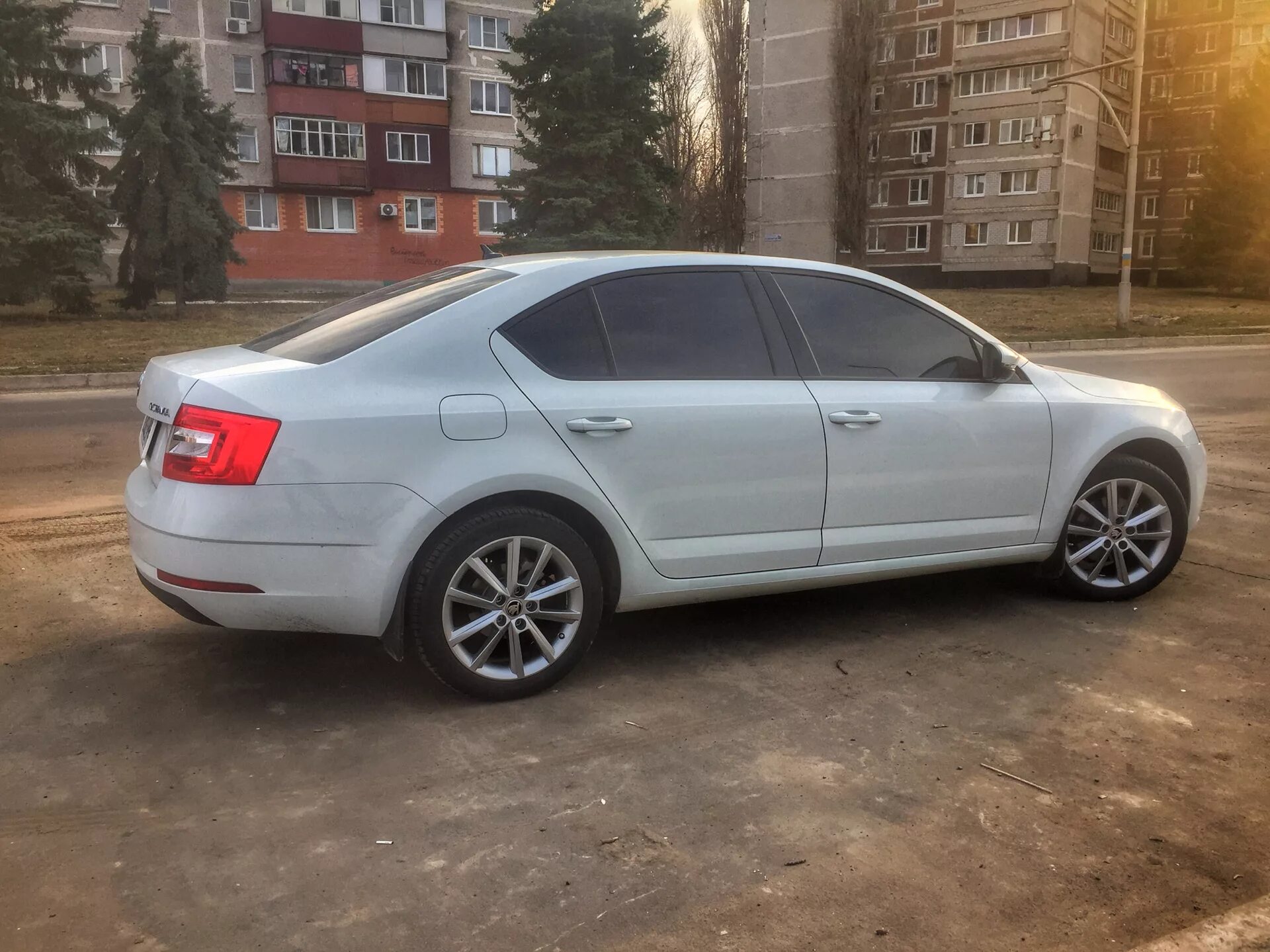 Какие диски R17 интереснее - Denom или Trius на Октавию А7?