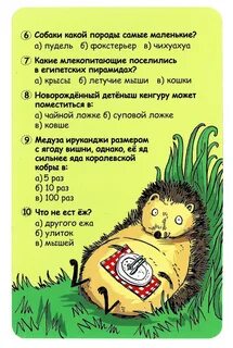 Какой вопрос задать животному
