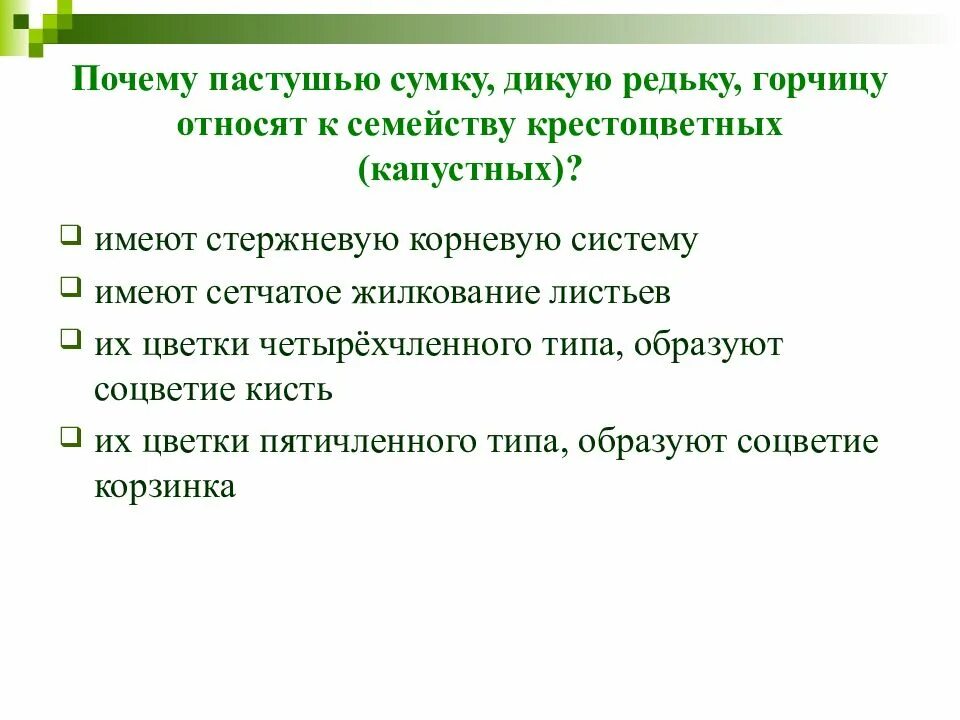 Почему пастушью сумку дикую. Почему пастушью сумку дикую редьку относят к семейству крестоцветных. пастушью сумку, дикую редьку, горчицу относят к семейству:. пастушья сумка почему. почему капуста относится к семейству крестоцветных.