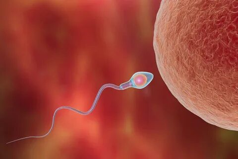 Саунада немесе пәтердегі моншада жезөкшелермен жыныстық қатынас (порно видео)