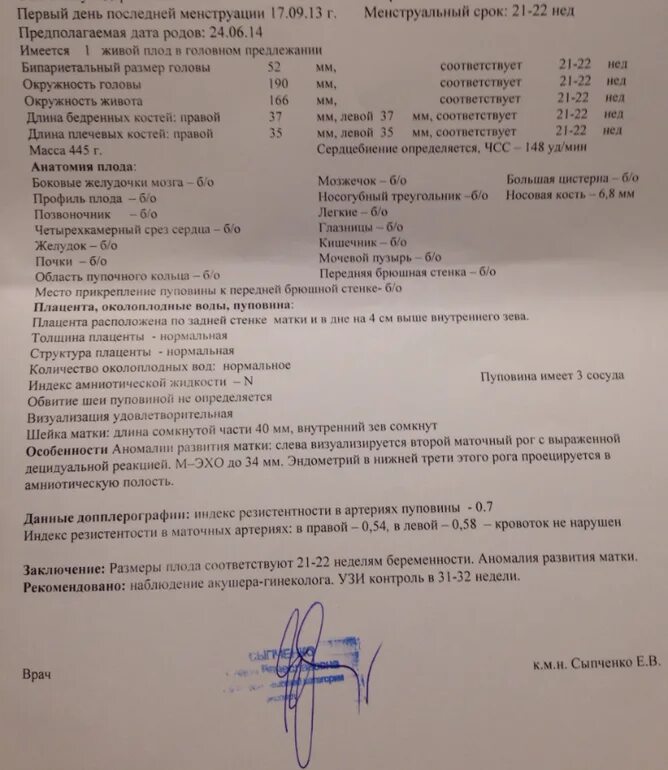 Срок беременности 21 неделя. 23 Недели беременности УЗИ протокол. УЗИ В 19 недель беременности нормы показателей. 21 Неделя беременности УЗИ скрининг. УЗИ 22 недели беременности расшифровка.