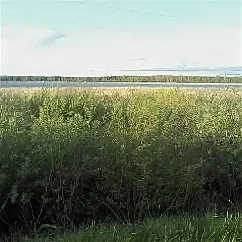 Погода параткуль. Село новосельское. Село параткуль. Погода параткуль. Село беляковка курганская область.