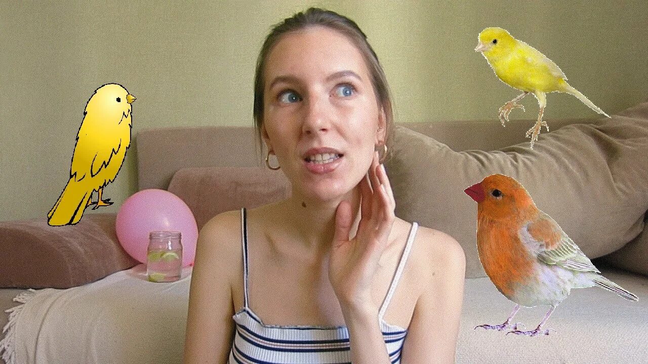 Какую птичку завести