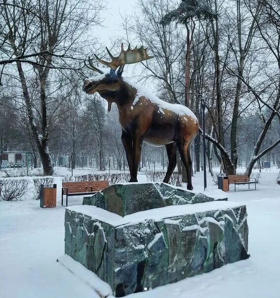 Лось бабушкинская