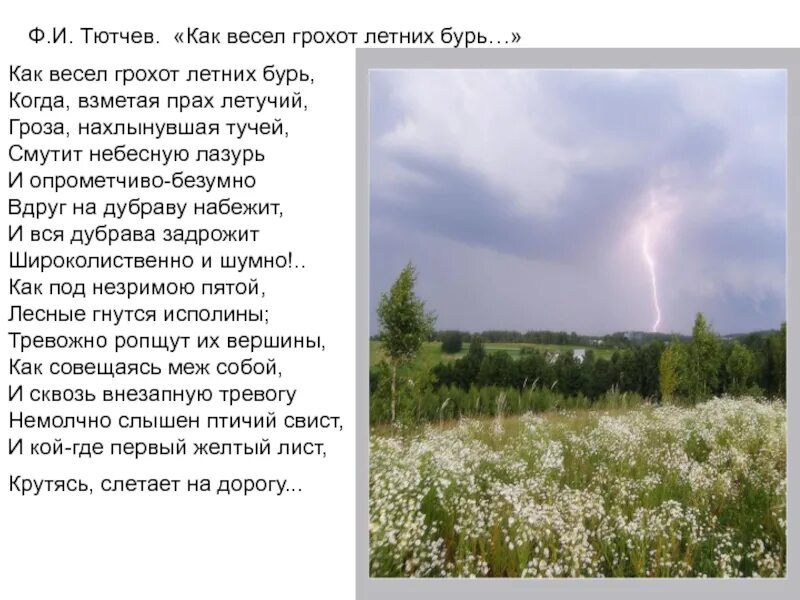 Ф.И.Тютчев как весел грохот летних бурь. Фёдор Иванович Тютчев летних бурь. Стихи Тютчева о лете. Стихотворение Тютчева как весел грохот летних бурь. Тютчев родная природа