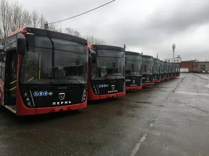 Пермь столица автобус