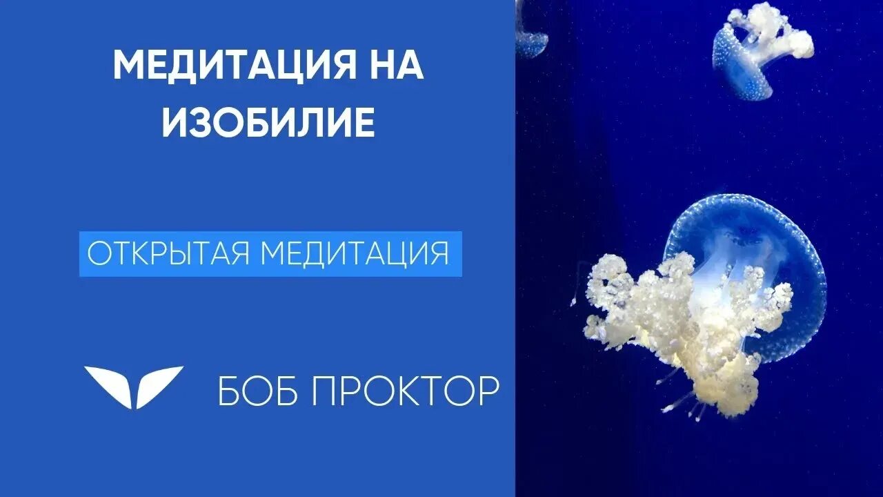 Изобилие боб. Боб Проктор медитация на изобилие. Изобилие Боб Проктор. Медитация на изобилие с Бобом проектор. Bob Proctor haqida.
