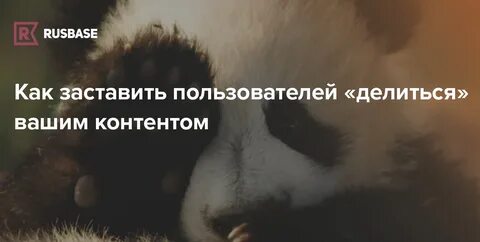 Инициатива появилась