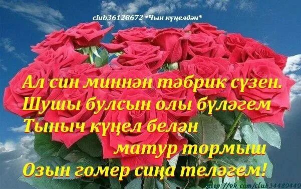 Татарча котлаулар хатын кызга уз сузлэрен