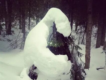 Конец снега