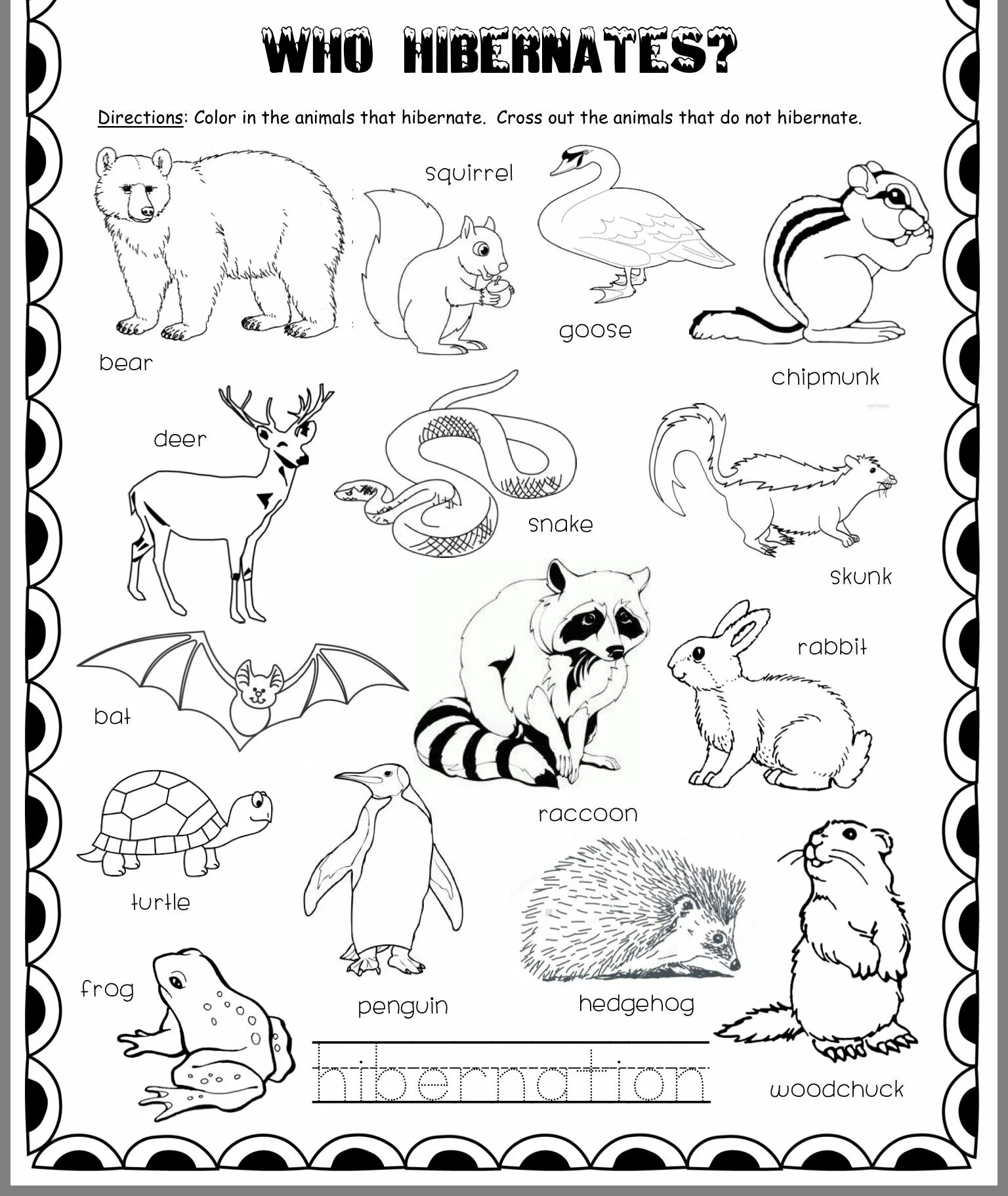 Animal who or which. Let's talk about pets. Which animal is bigger 4 класс. Animal who or which. What animals live in the arctic.