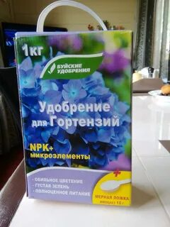 Подкормка гортензий аммиачной селитрой