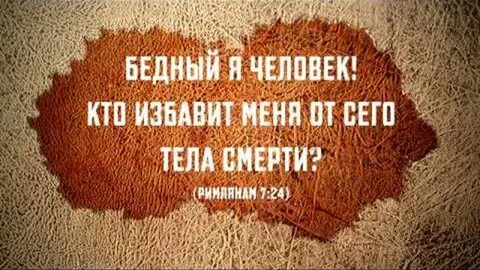 Кто же меня бедную