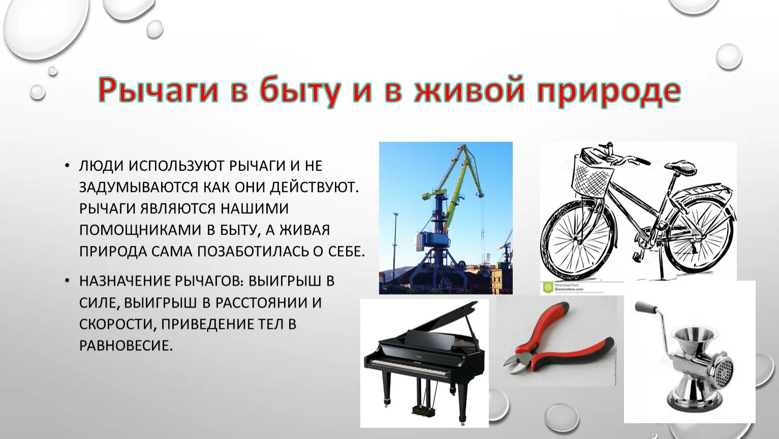 Сообщение на тему рычаги в технике. Рычаги в быту. Рычаги в быту и природе. Рычаги в быту и технике. Рычаги в технике быту и природе.