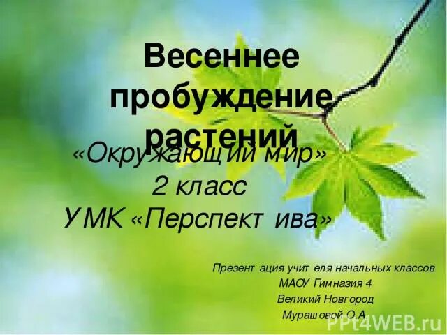 Весеннее пробуждение растений тест. Весеннее Пробуждение растений 2 класс окружающий мир. Весеннее Пробуждение растений 2 класс презентация. Второй класс весенние Пробуждение растений. Весеннее Пробуждение растений презентация.