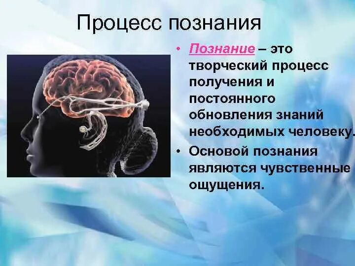 Ощущение основа познания. Процесс познания. проект процесс познания. познание презентация. познание процесс получения знаний.