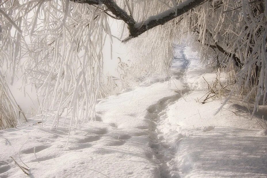 Зимняя тропинка. Зимняя тропа в лесу. Тропинка в снегу. Снежная тропинка в городе. Белый снег.