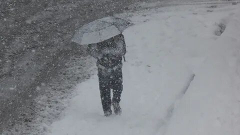 Снегу было мало снежных