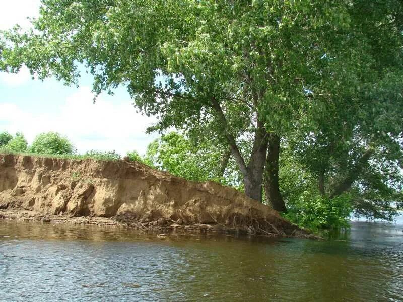 Погода садовое астраханской. Село садовое Астраханская область Ахтубинский район. Село Золотуха Ахтубинский район Астраханская область. Село Болхуны Ахтубинского района. Батаевка Астраханская область Ахтубинский район.