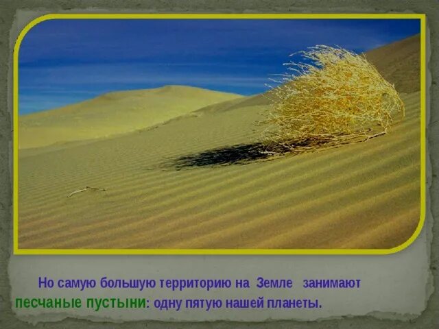 Как можно сделать проект про пустыню Презентация к уроку "Экваториальные леса, пустыни, саванны" для 6 класса геогр
