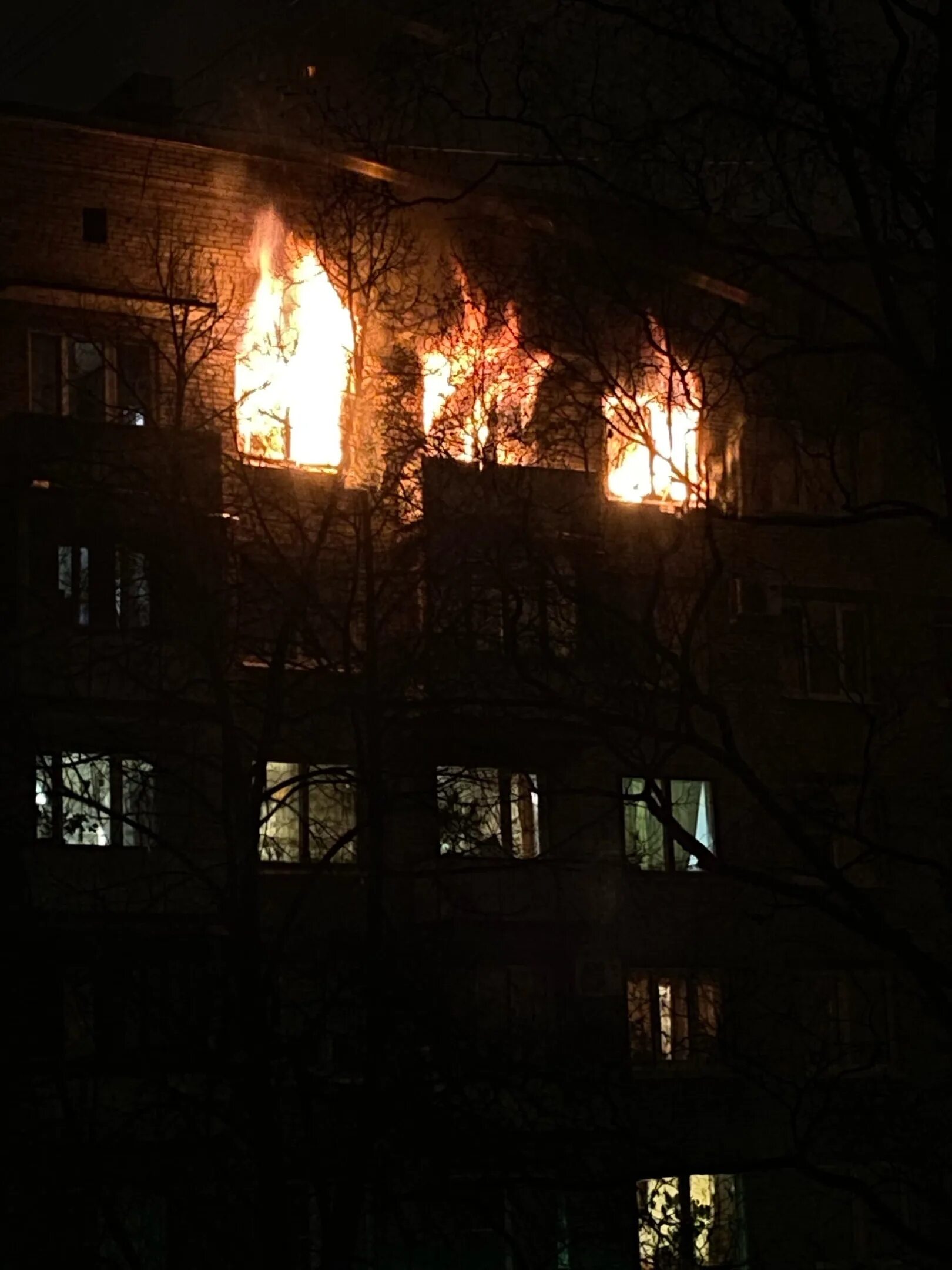 Гавайи пожар. Пожар дедовичи. Пожар в административном здании. Г остров пожар. Гавайи сгоревший остров.