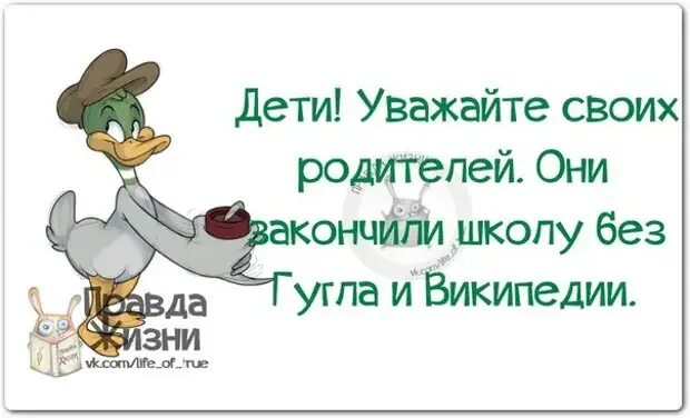 Смыслом про школам. Высказывания смешные и прикольные. Смешные афоризмы. Прикольные фразы. Смешные высказывания о жизни.