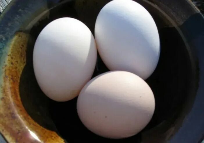 Третье яичко. Яйцо магия. Три яйца. Куриное яйцо в магии. Волшебное яйцо.