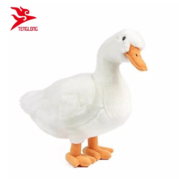 уточки лалафан белая. милые утки. утка лалафанфан. утка белая. белая московская порода уток.