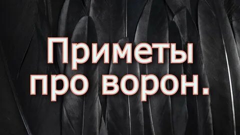 Примета ворона на улице