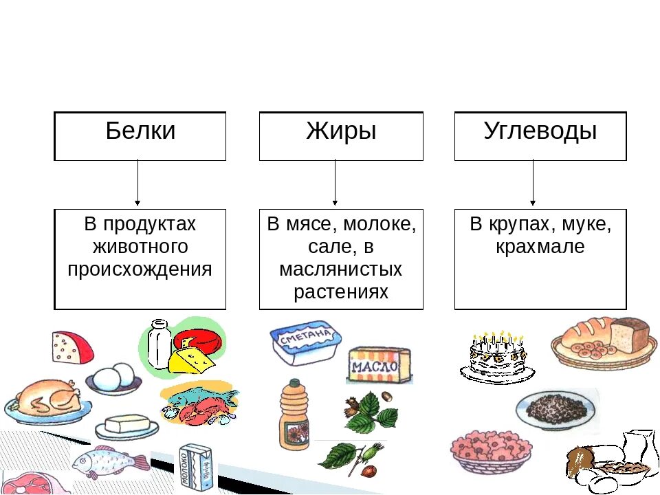 Схема питания белков жиров углеводов. Белки жиры углеводы схема продуктов. Классификация белков жиров и углеводов в продуктах. Классификация белков, жиров, углеводов, витаминов.