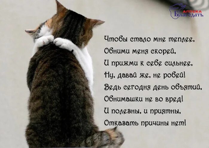 Стихотворение обними меня. День объятий. Стихи про обнимашки. День объятий открытки. День объятий стихи.