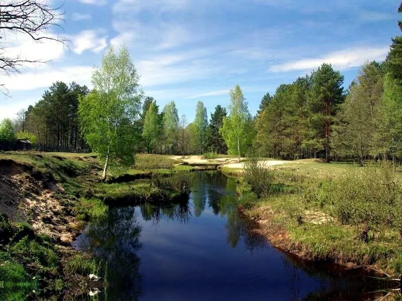 Через поселок. Через поселок. Поселок горный приморский край кировский район. Через поселок. Заповедник керженец нижегородской области.
