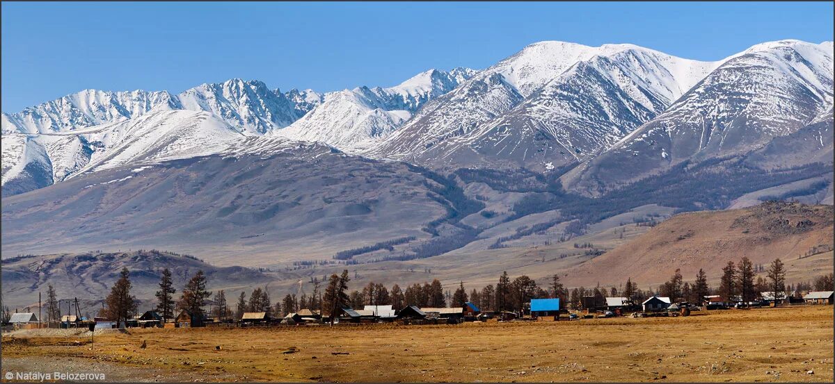 Село курай Кош-Агачский район Республика Алтай. Село курай горный Алтай. Республика Алтай, Кош-Агачский р-н, с. курай. Село курай Республика Алтай достопримечательности.