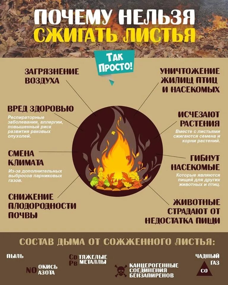 Нельзя сжигать сухую траву. Листовки не Поджигай сухую траву. Почему нельзя сжигать траву. Запрет на сжигание